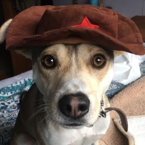 Meet your Posher, Kat